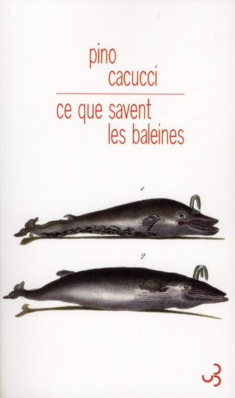 Emprunter Ce que savent les baleines livre