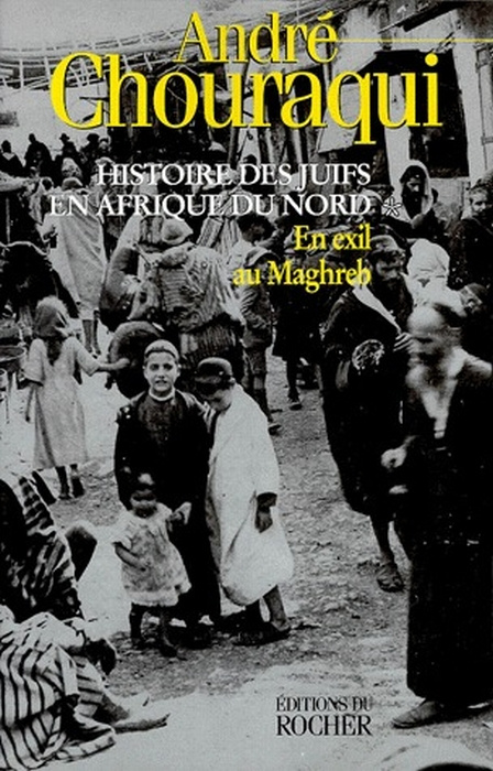 Emprunter HISTOIRE DES JUIFS EN AFRIQUE DU NORD. Tome 1, En exil au Maghreb livre