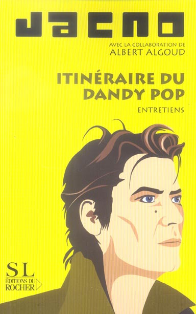 Emprunter Itinéraire du dandy pop. Entretiens livre