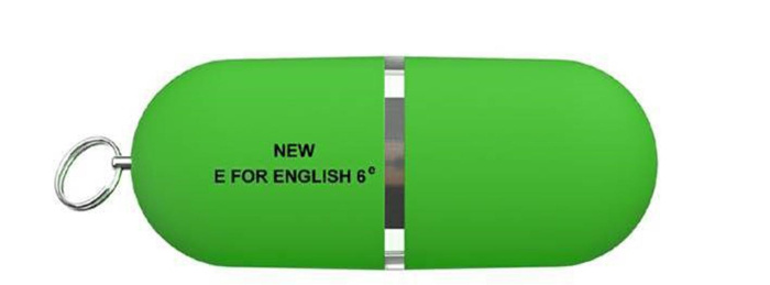 Emprunter NEW E FOR ENGLISH 6EME - ANGLAIS ED.2021 - CLE USB AUDIOS/VIDEOS CLASSE livre