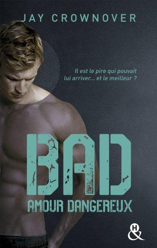 Emprunter Bad Tome 2 : Amour dangereux livre