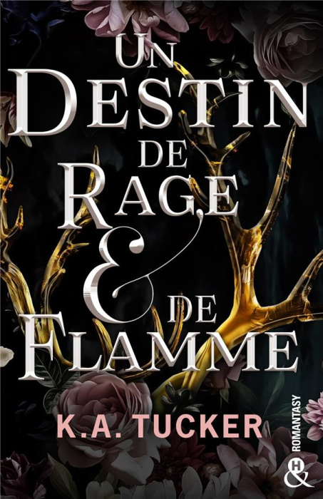 Emprunter Un destin de rage & de flamme livre