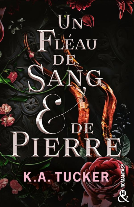 Emprunter Un fléau de sang & de pierre livre
