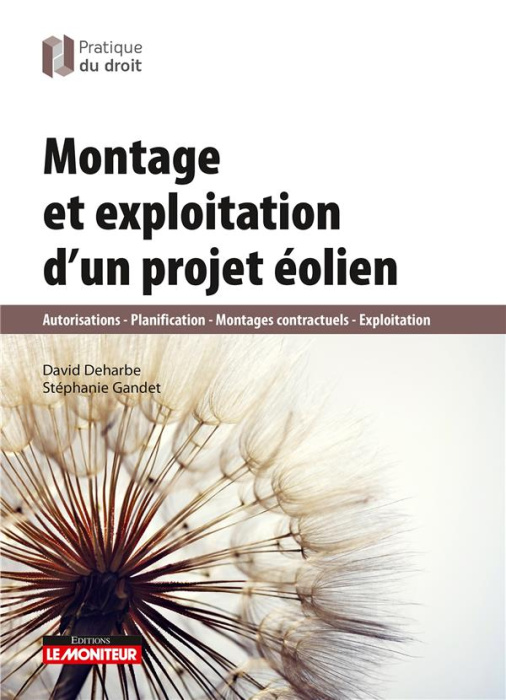 Emprunter Montage et exploitation d'un projet éolien livre