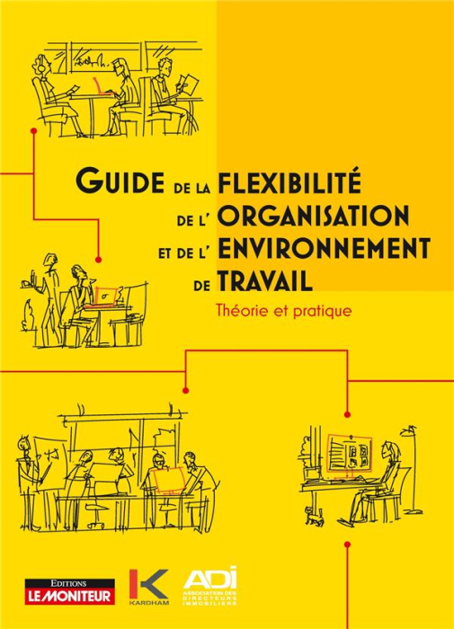 Emprunter Guide de la flexibilité, de l'organisation et de l'environnement de travail. Théorie et pratique livre