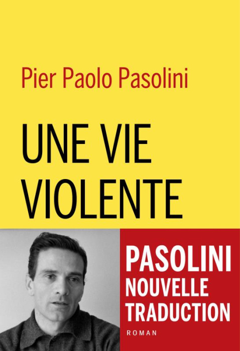 Emprunter Une vie violente livre