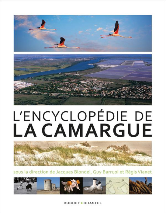 Emprunter ENCYCLOPEDIE DE LA CAMARGUE livre