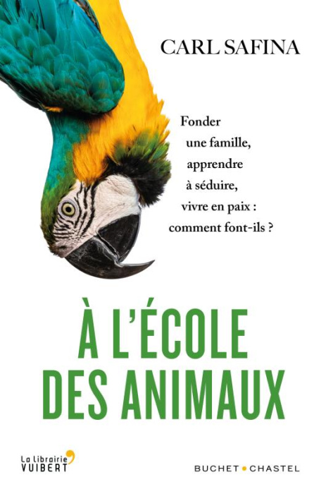 Emprunter A l'école des animaux. Fonder une famille, apprendre à séduire, vivre en paix : comment font-ils ? livre