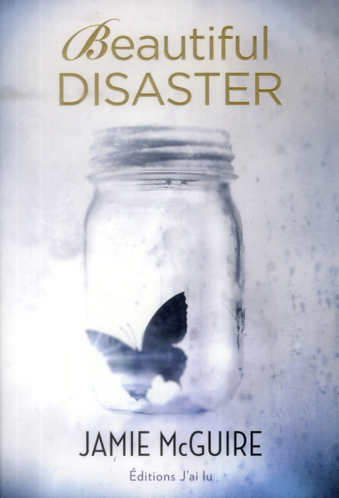 Emprunter Beautiful disaster livre