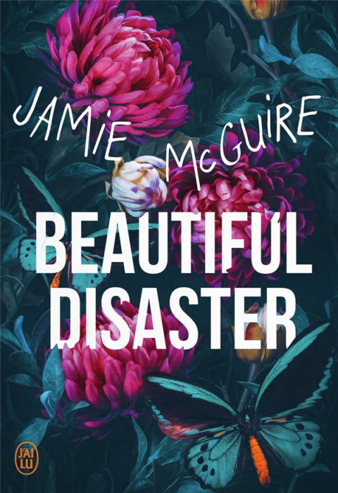 Emprunter Beautiful Disaster livre