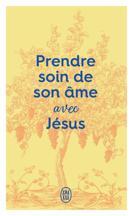 Emprunter Prendre soin de son âme avec Jésus livre