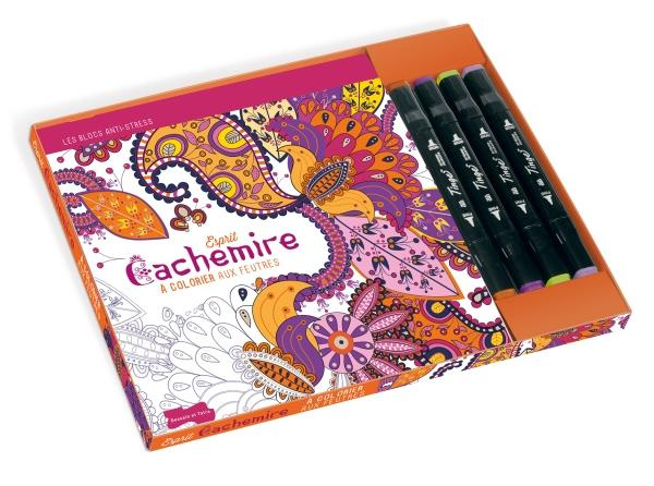 Emprunter Esprit cachemire à colorier aux feutres. Avec 4 feutres pinceaux livre