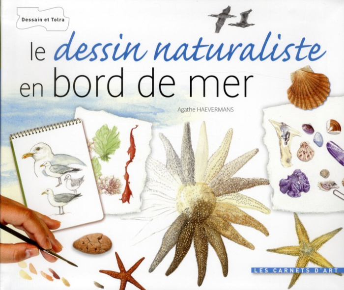 Emprunter Le dessin naturaliste en bord de mer livre