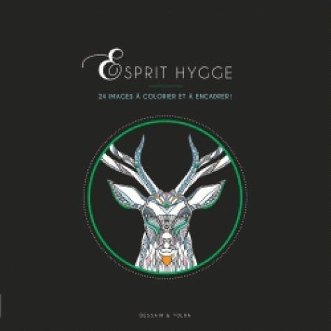 Emprunter Esprit Hygge. 24 images à colorier et à encadrer ! livre