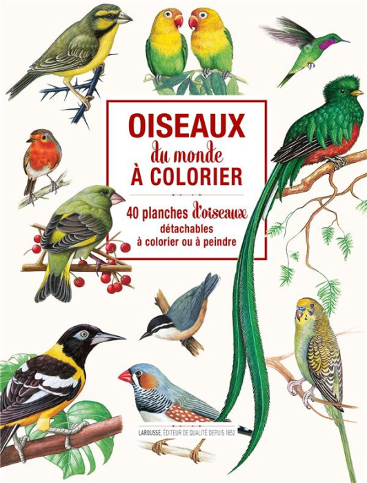 Emprunter Oiseaux du monde à colorier. 40 planches d'oiseaux détachables à colorier ou à peindre livre