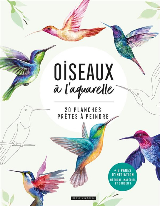 Emprunter Oiseaux à l'aquarelle. 20 planches prêtes à peindre livre