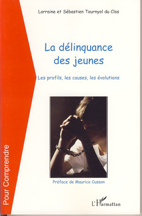 Emprunter La délinquance des jeunes. Les profils, les causes, les évolutions livre