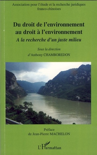 Emprunter Du droit de l'environnement au droit à l'environnement. A la recherche d'un juste milieu livre