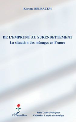 Emprunter De l'emprunt au surendettement. La situation des ménages en France livre