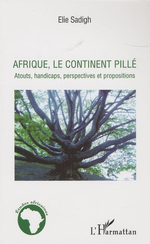 Emprunter Afrique, le continent pillé. Atouts, handicaps, perspectives et propositions livre
