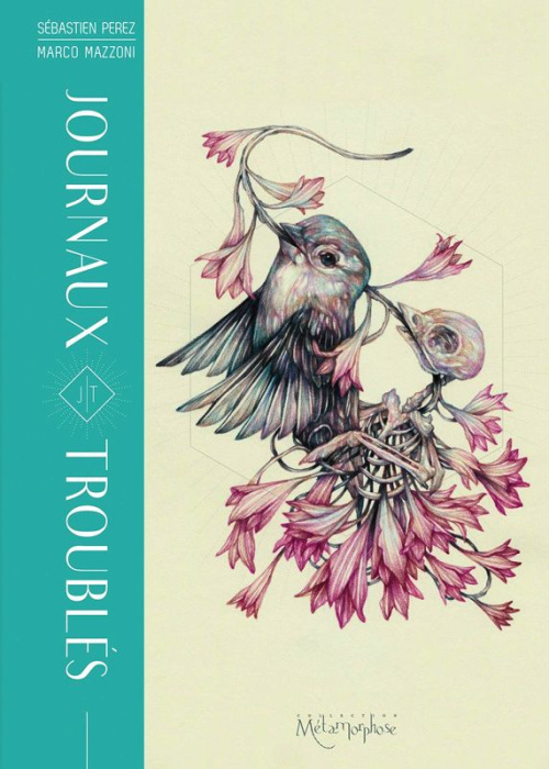 Emprunter Journaux troublés livre