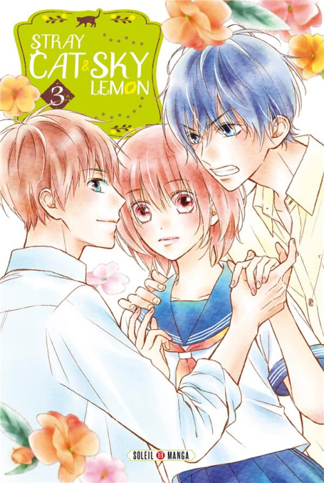 Emprunter Stray Cat & Sky Lemon Tome 3 livre