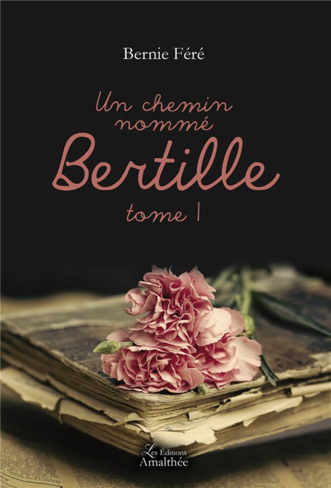 Emprunter Un chemin nommé Bertille. Tome 1 livre