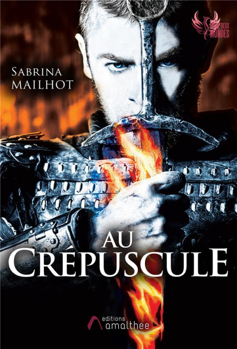 Emprunter Au crépuscule livre
