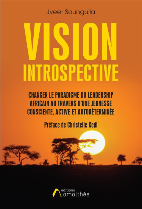 Emprunter Vision introspective : changer le paradigme du leadership africain au travers d'une jeunesse conscie livre