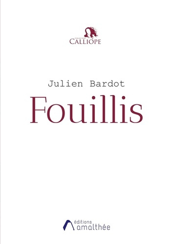 Emprunter Fouillis livre