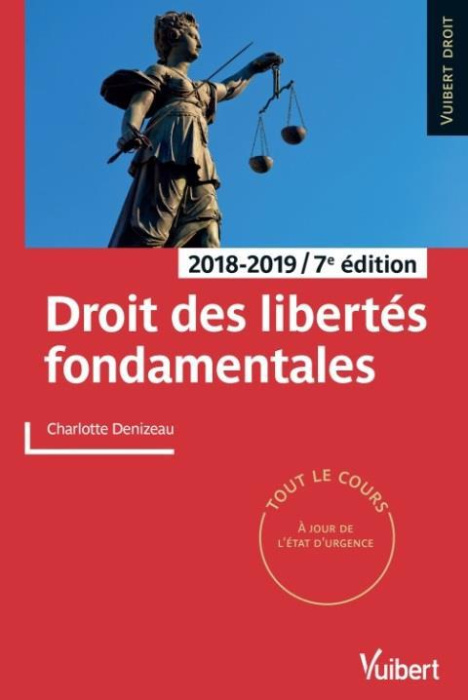 Emprunter Droit des libertés fondamentales. Edition 2018-2019 livre