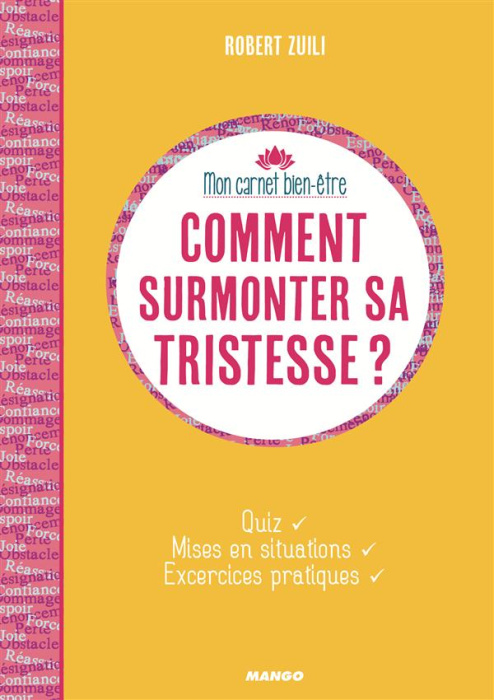 Emprunter Comment surmonter sa tristesse ? livre