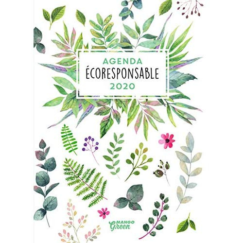 Emprunter Agenda écoresponsable. Edition 2020 livre