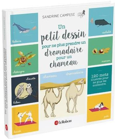 Emprunter Un petit dessin pour ne plus prendre un dromadaire pour un chameau. 120 mots illustrés pour ne plus livre