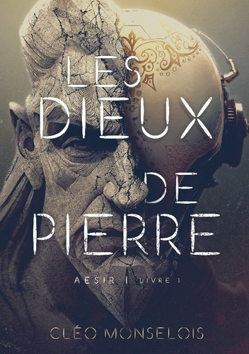 Emprunter Les Dieux de Pierre. Aesir - Livre 1 livre