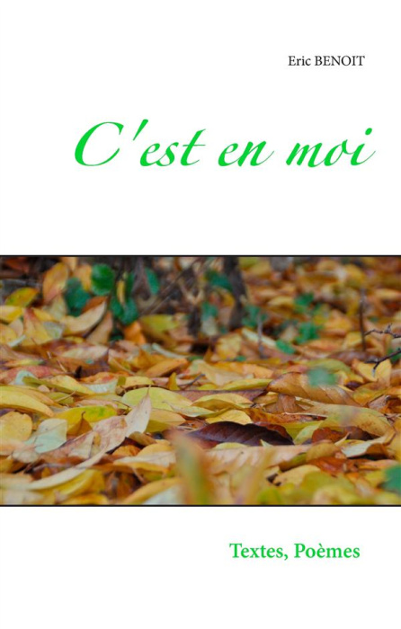 Emprunter C'est en moi. Textes et poèmes D'un balade dans la vie, De tous les jours De toutes mes nuits. Tendr livre
