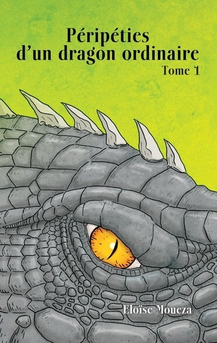 Emprunter Péripéties d'un dragon ordinaire Tome 1 livre