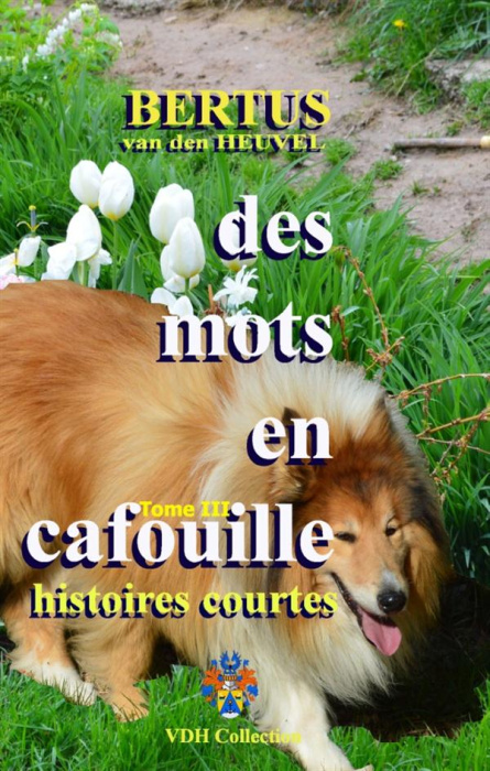Emprunter Des mots en cafouille iii. Histoires courtes d'une vie ordinaire livre