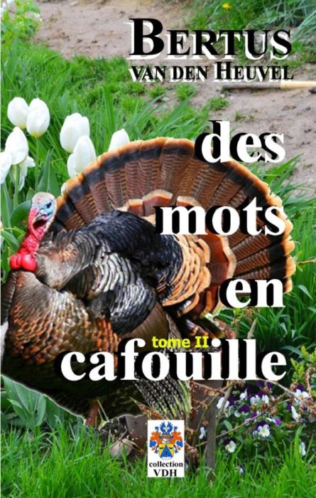 Emprunter Mots en cafouille. Tome 2 livre