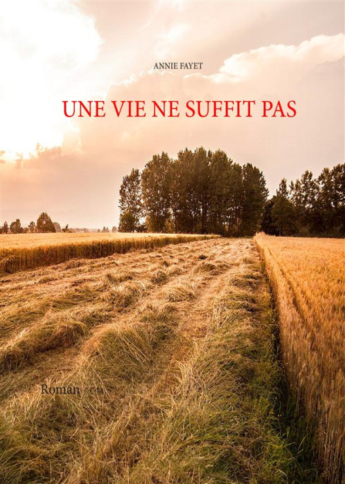 Emprunter Une vie ne suffit pas livre