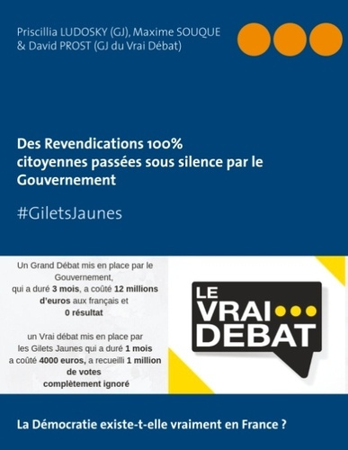 Emprunter Revendications 100 % citoyennes passées sous silence par le Gouvernement. #GiletsJaunes livre