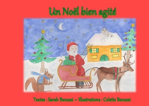 Emprunter Un Noël bien agité livre