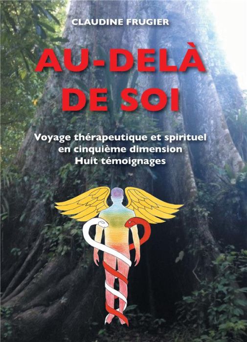 Emprunter Au-delà de soi. Voyage thérapeutique et spirituel en cinquième dimension Huit témoignages sur la livre