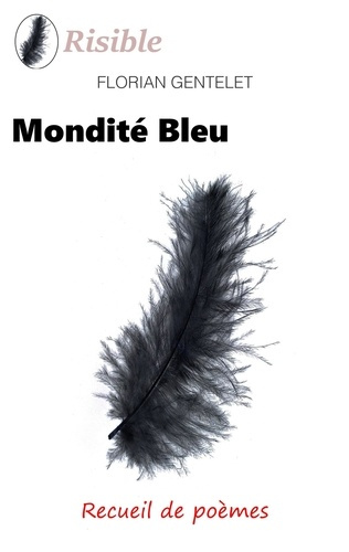 Emprunter Mondité bleu livre