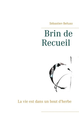 Emprunter Brin de recueil. La vie est dans un bout d'herbe livre