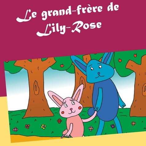Emprunter Le grand frère de Lily Rose livre