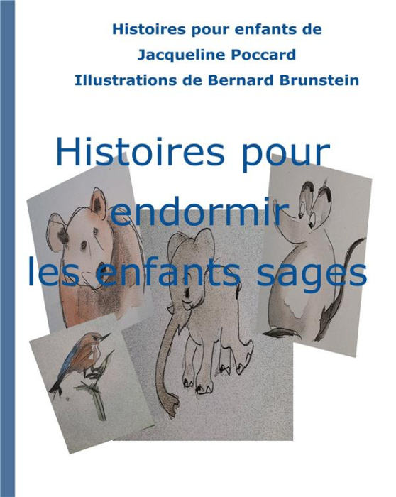 Emprunter Histoires pour endormir les enfants sages livre