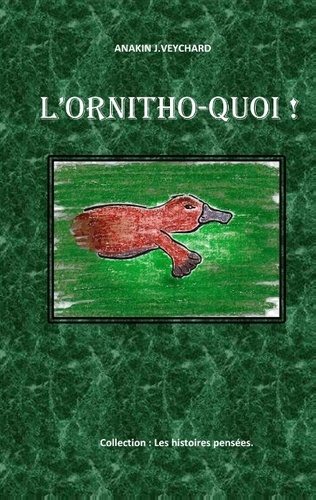 Emprunter L ORNITHO QUOI - LES HISTOIRES PENSEES livre