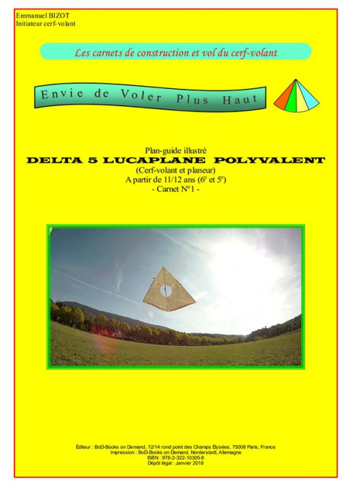 Emprunter Les carnets de construction et vol du cerf-volant. Envie de voler plus haut livre