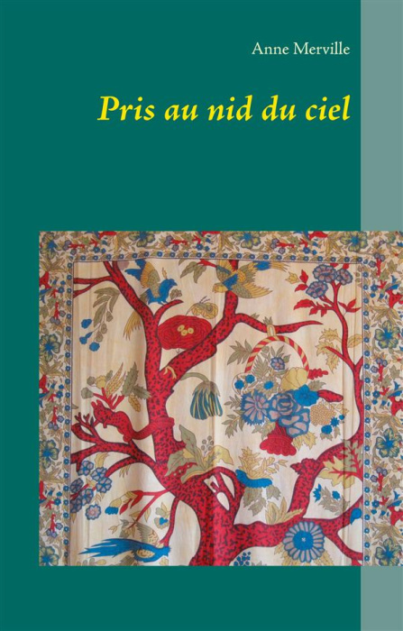 Emprunter Pris au nid du ciel livre
